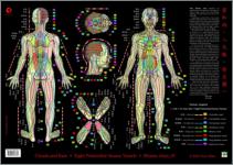 Clouds and Rain Shiatsu chart