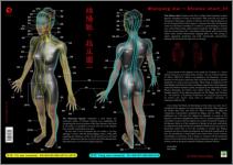 Mianyang mai Shiatsu chart