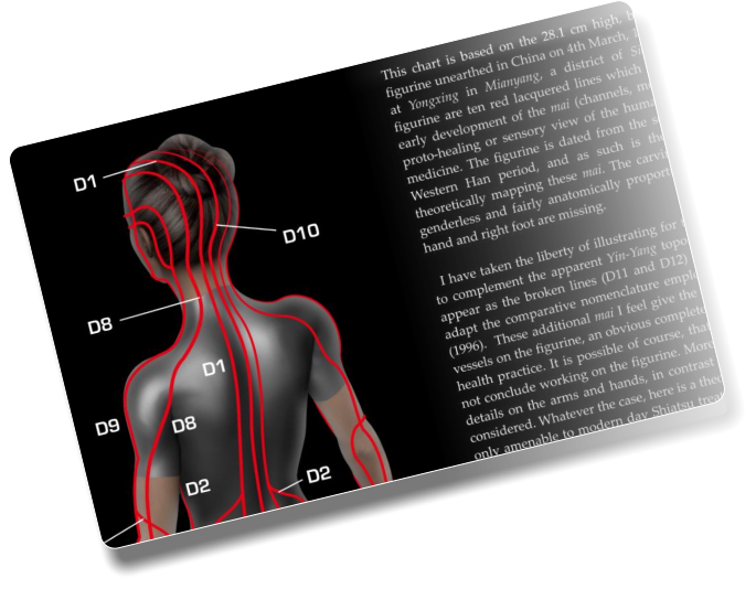 Mianyang figurine mai_vessels